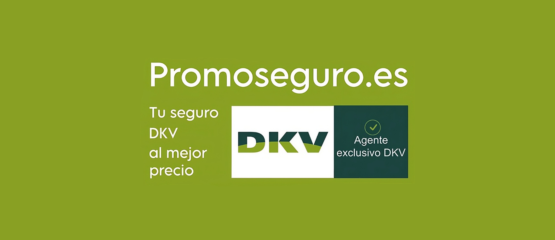 Seguros