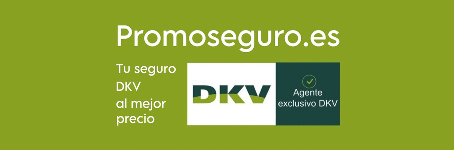 Seguros