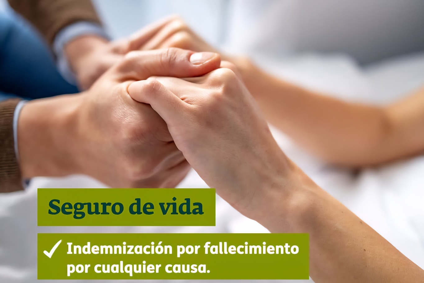 dkv seguros salud
